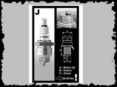 Brisk Spark Plugs